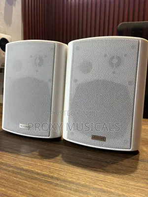 White Indoor/Outdoor Hanging Pendant Speakers