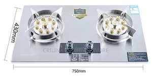 Double Burner Rust-Resistant Stainless Steel Gas Stove, Display Panel