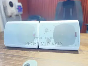 AK Super Indoor/Outdoor White Hanging Speakers