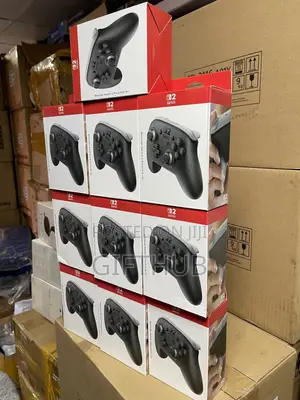 Nintendo Switch 2 Pro Pad