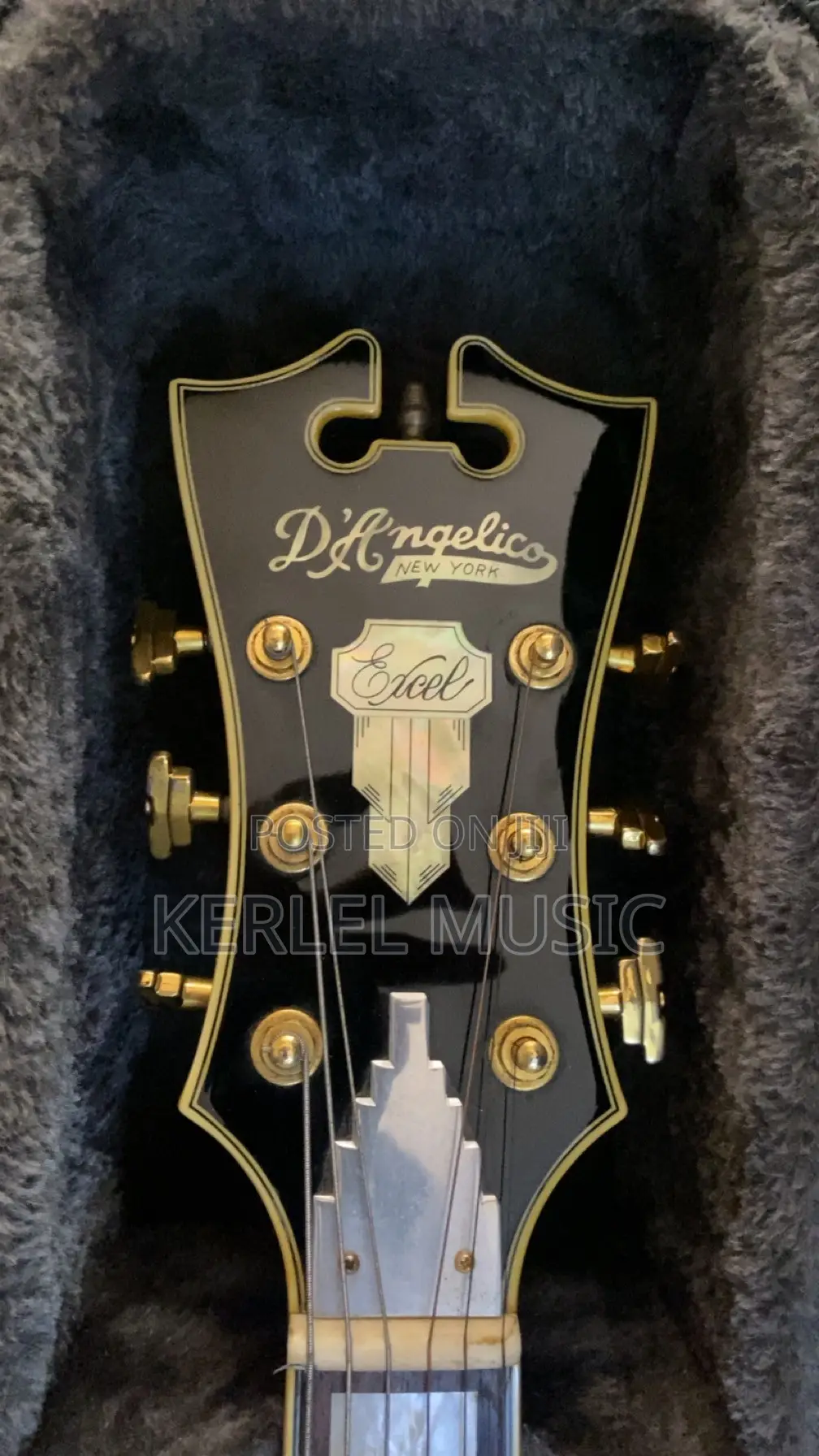 D’Angelico Excel EXL-1 Arch-Top Guitar