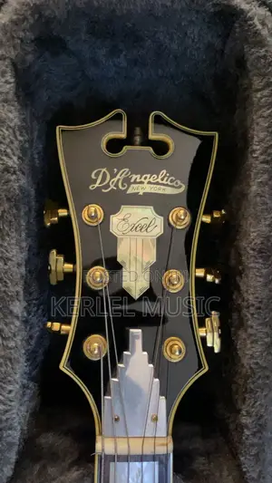 D’Angelico Excel EXL-1 Arch-Top Guitar