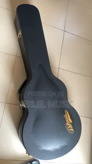 D’Angelico Excel EXL-1 Arch-Top Guitar