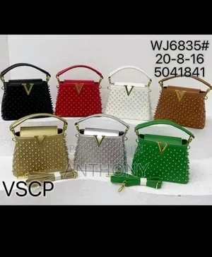 Fancy Female Hand Bag for Different Occasions