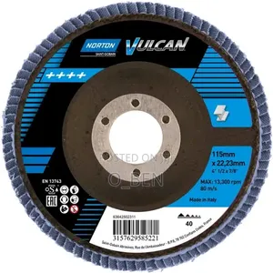 Flapper Disc