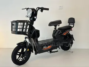 Electric Bicycle Bike
