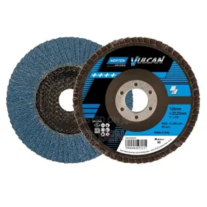 Flapper Disc