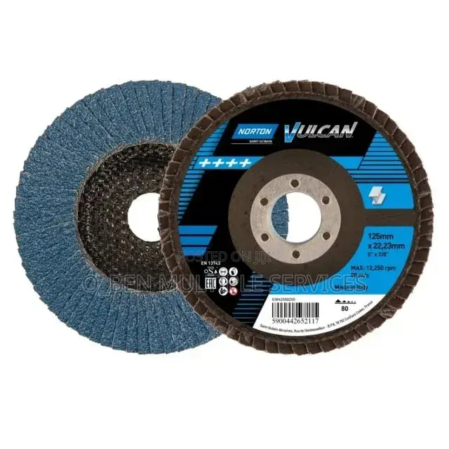 Flapper Disc