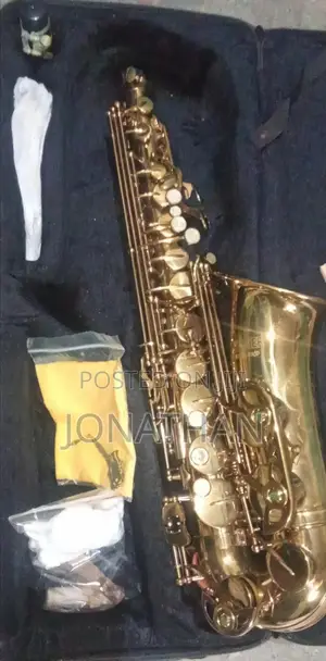 1 Month Used Saxophone