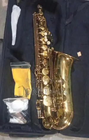 1 Month Used Saxophone