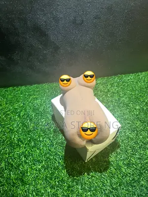 Pocket Toto Doll P-Ussy