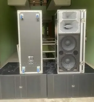 Ariz Sound Professional Big Double Speaker