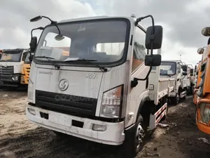 Shacman Mini Truck