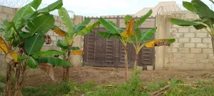 1 Plot of Land