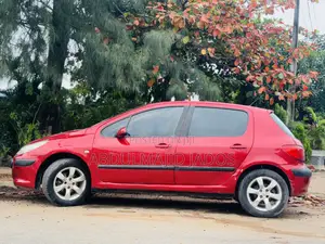 Peugeot 307 2007 Red