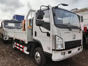 Shacman Mini Truck
