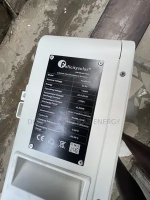 5KWH 24V Felicity Lithium Ion Battery 200AH