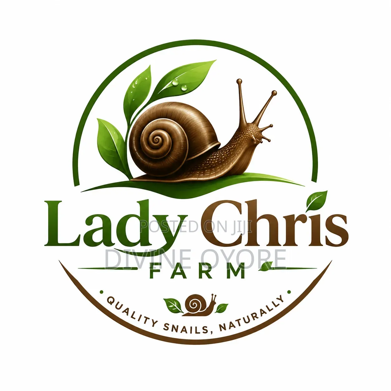 Professional Logo & Graphic Design Services