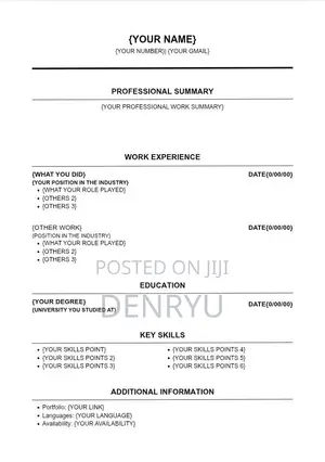 Professional Cv Template