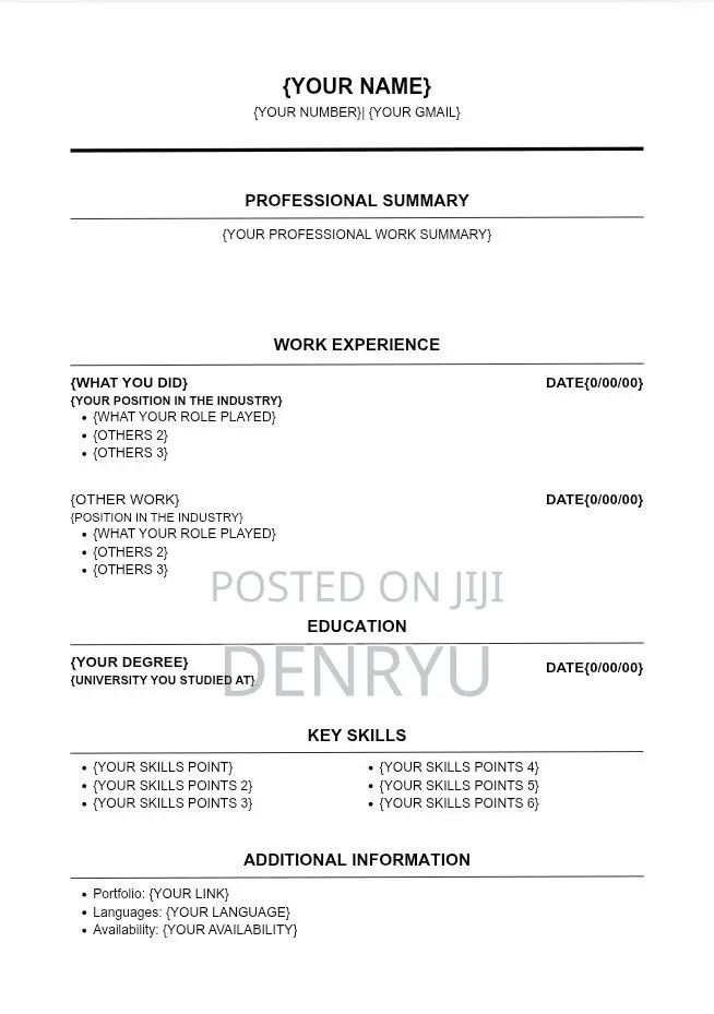Professional Cv Template
