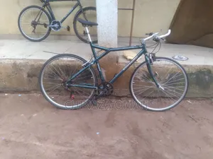 GAZELLE Sports Bike