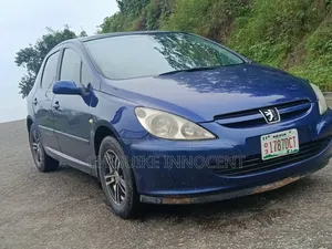 Peugeot 307 2007