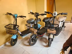 Electric Bike