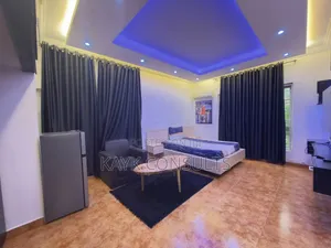 Furnished Studio Apartment in Garki for rent
