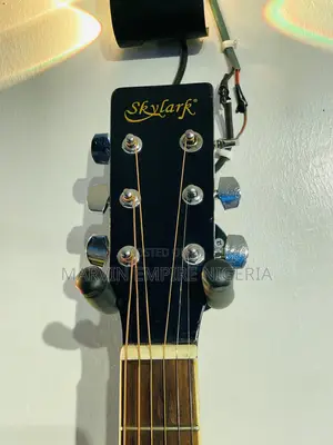 Skylark Acoustic Guitar Dreadnought