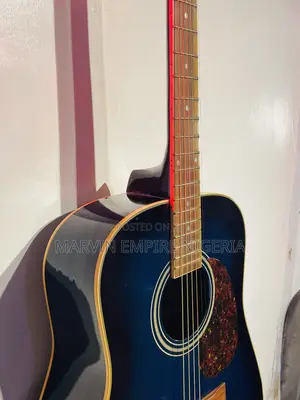 Skylark Acoustic Guitar Dreadnought