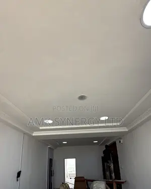Gypsum Walls, Ceiling Installations and Repairs