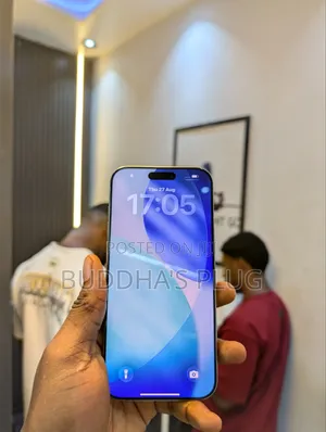 Apple iPhone 16 Pro Max 256 GB Gray