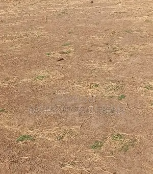 Land for Sale in Gudu