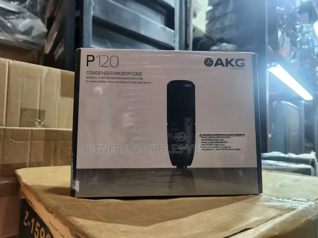 AKG P120 Condenser Microphone