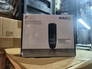 AKG P120 Condenser Microphone