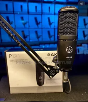 AKG P120 Condenser Microphone