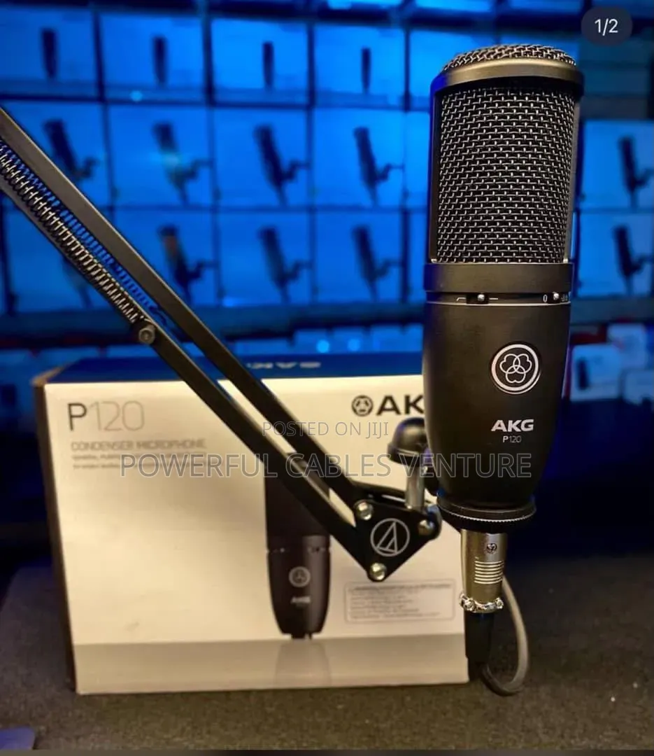 AKG P120 Condenser Microphone