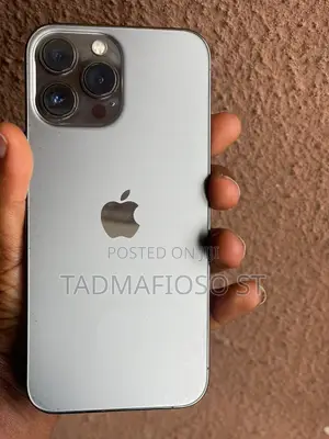 Apple iPhone 13 Pro Max 128 GB Gray