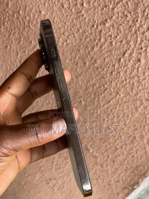 Apple iPhone 13 Pro Max 128 GB Gray