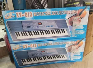 XinYun XY-813 Is a 54-Key Multifunctional Digital Electronic Beginner