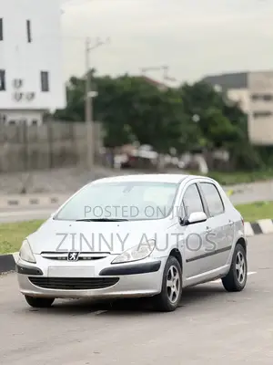 Peugeot 307 2005 Silver