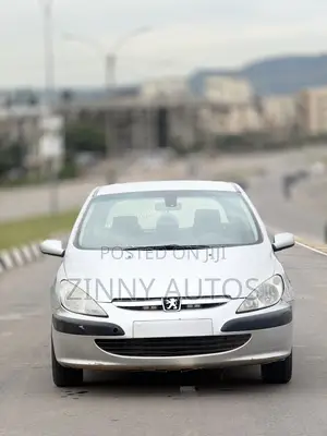 Peugeot 307 2005 Silver