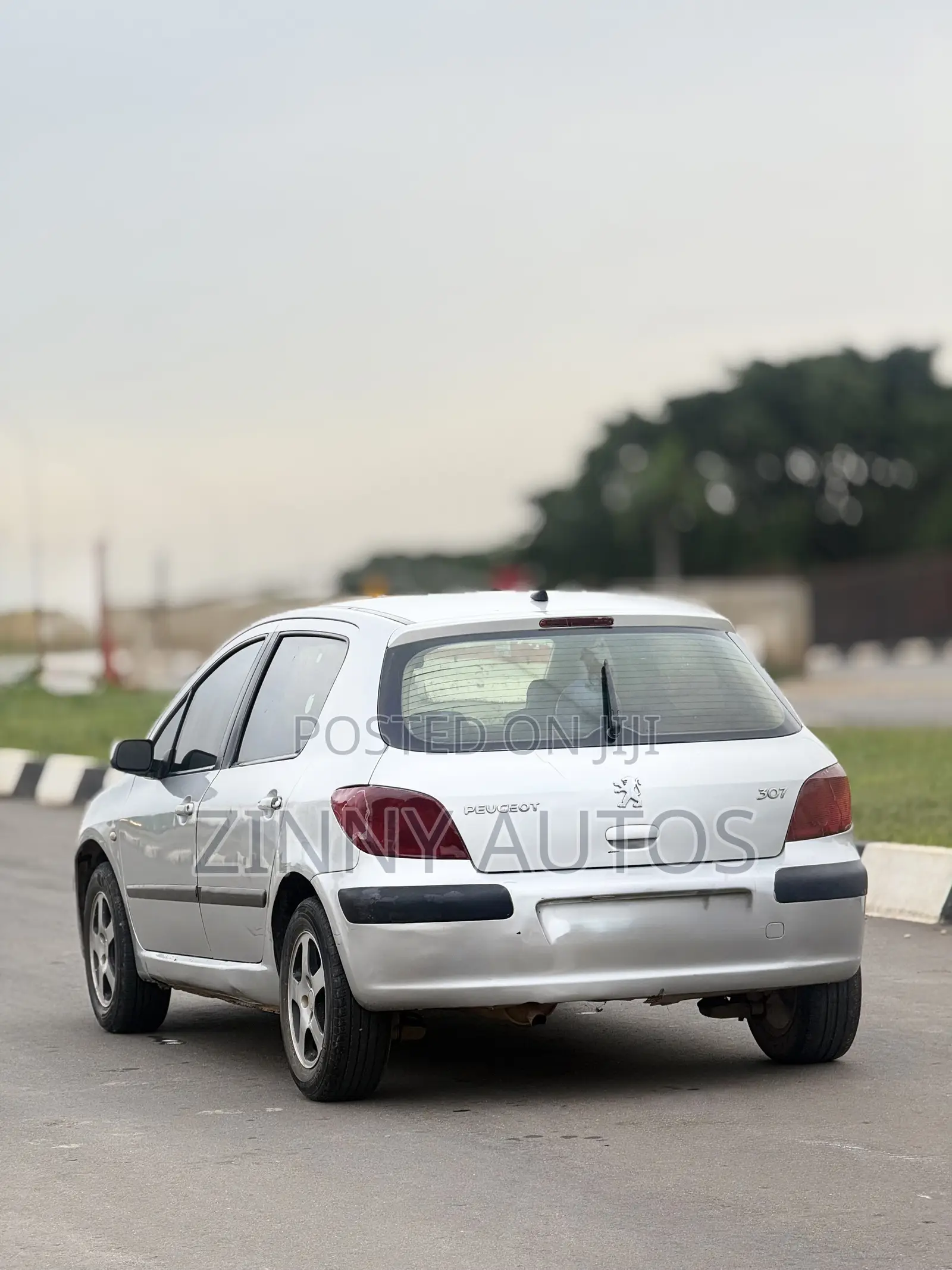 Peugeot 307 2005 Silver
