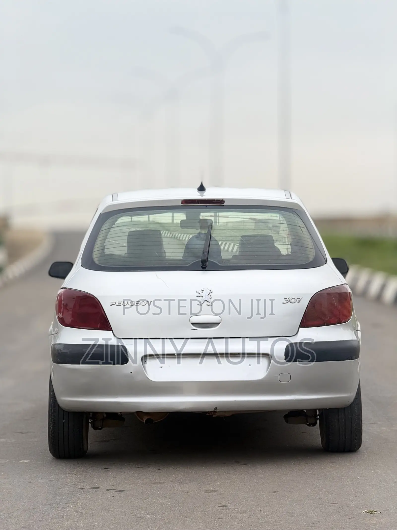 Peugeot 307 2005 Silver
