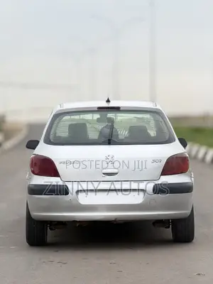 Peugeot 307 2005 Silver