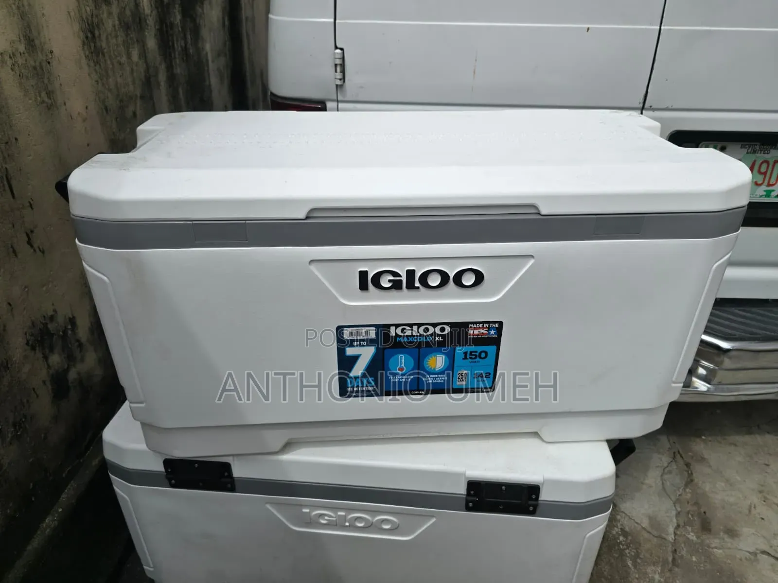 Igloo Max Cold 150qt Cooler