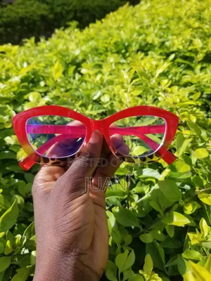 Anti Bluelight Glasses