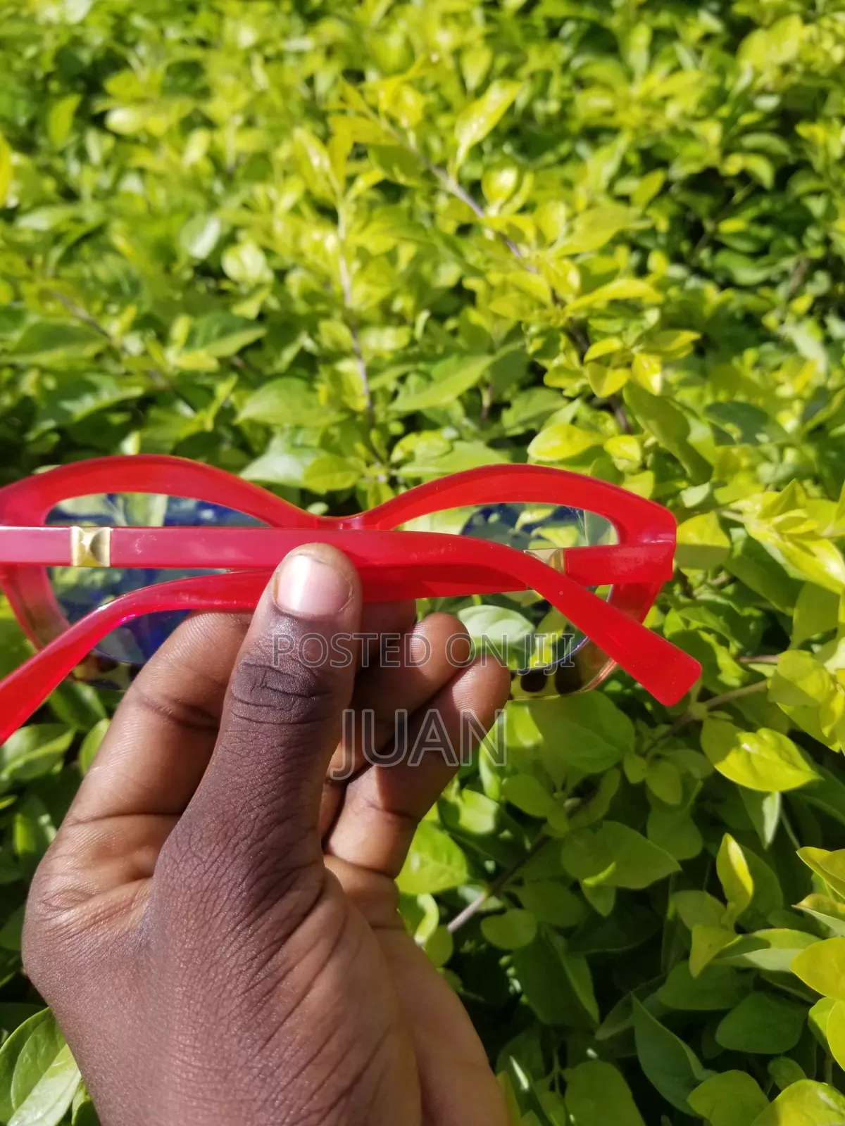 Anti Bluelight Glasses