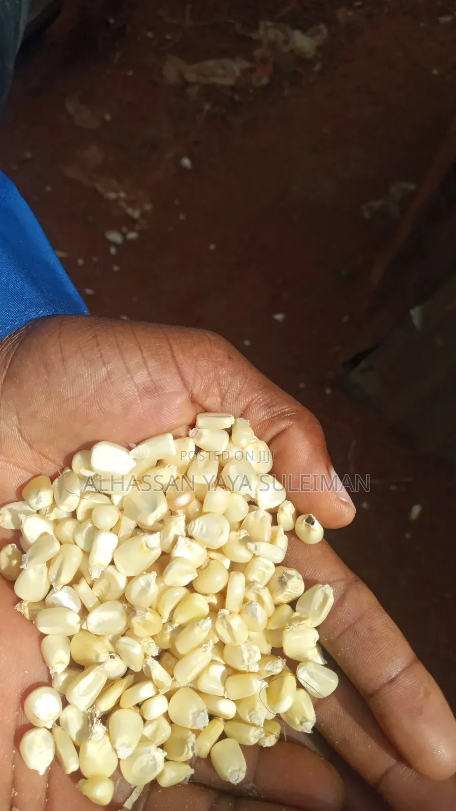 Clean Maize