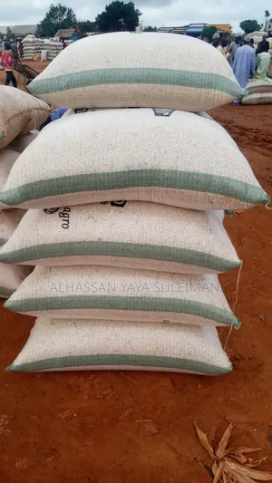 Clean Maize